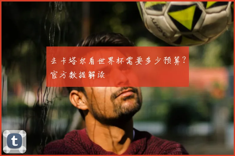 去卡塔尔看世界杯需要多少预算？官方数据解读