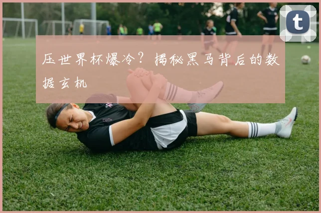 压世界杯爆冷？揭秘黑马背后的数据玄机