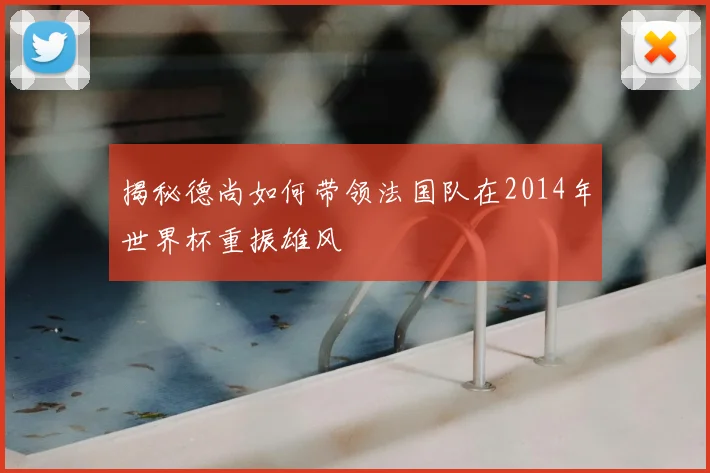 揭秘德尚如何带领法国队在2014年世界杯重振雄风