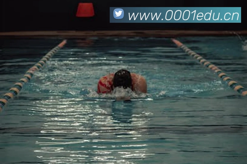 多媒体互动体验